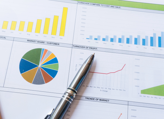 Header - CJS Report Photo of a printed report with pie diagrams and bar charts